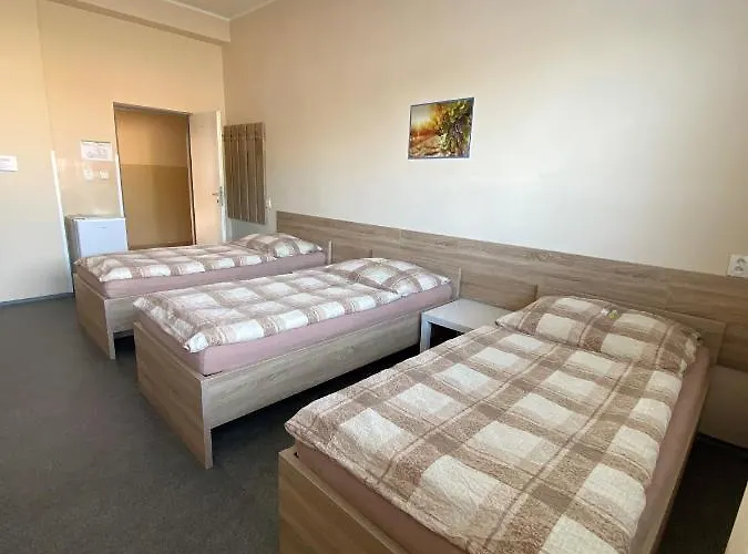 Hostel Hodonin Vandrarhem *